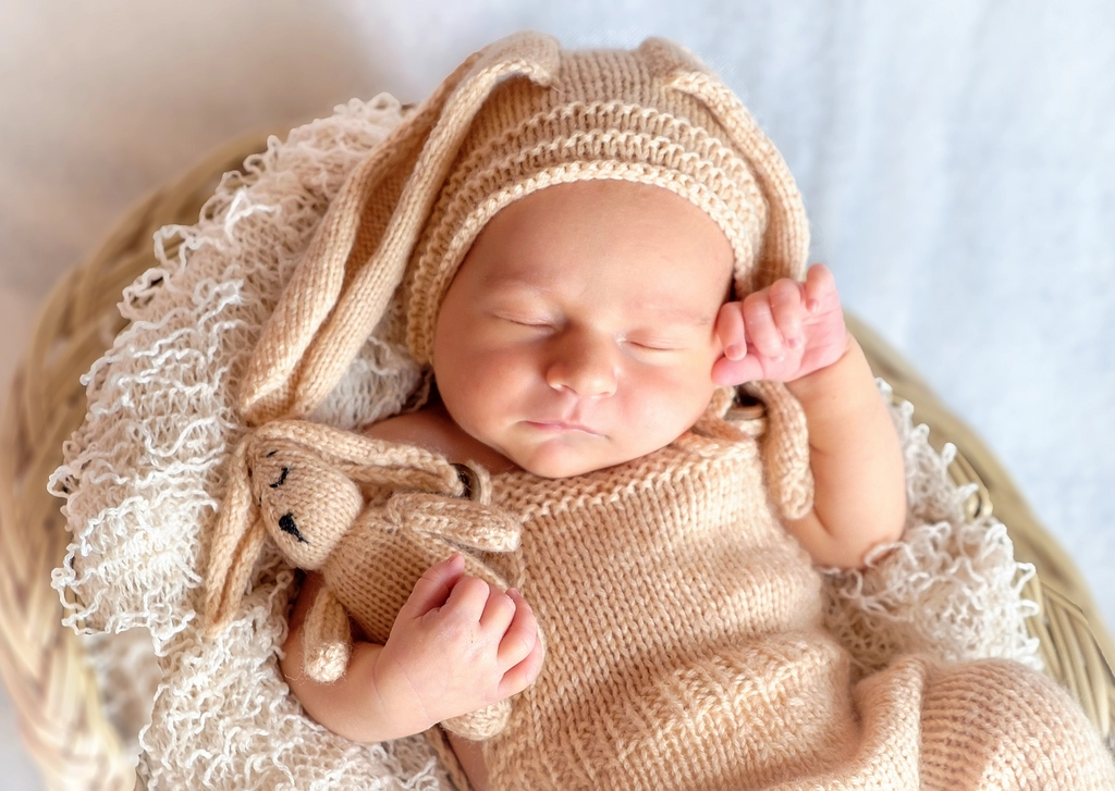Egg Donation programs